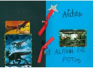 El album de Aidan