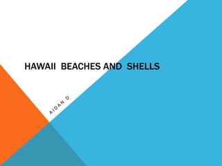HAWAII BEACHES AND SHELLS
 