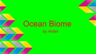 Ocean Biome
by Aidan
 
