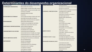 18 
Determinantes do desempenho organizacional 
 