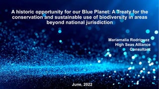 A historic opportunity for our Blue Planet: A Treaty for the
conservation and sustainable use of biodiversity in areas
beyond national jurisdiction
Mariamalia Rodríguez
High Seas Alliance
Consultant
June, 2022
 