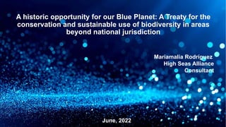 A historic opportunity for our Blue Planet: A Treaty for the
conservation and sustainable use of biodiversity in areas
bey...