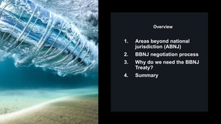 Overview
1. Areas beyond national
jurisdiction (ABNJ)
2. BBNJ negotiation process
3. Why do we need the BBNJ
Treaty?
4. Su...