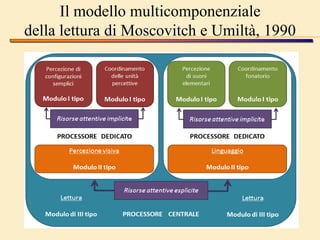 Il modello multicomponenziale
della lettura di Moscovitch e Umiltà, 1990
 