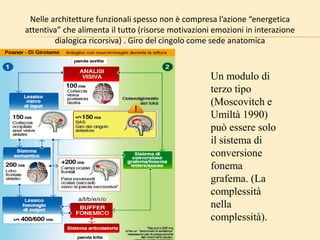 Nelle architetture funzionali spesso non è compresa l’azione “energetica
attentiva” che alimenta il tutto (risorse motivazioni emozioni in interazione
dialogica ricorsiva) . Giro del cingolo come sede anatomica
Un modulo di
terzo tipo
(Moscovitch e
Umiltà 1990)
può essere solo
il sistema di
conversione
fonema
grafema. (La
complessità
nella
complessità).
 