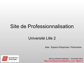 Site de Professionnalisation Université Lille 2 Aide : Espace Entreprises / Partenaires 