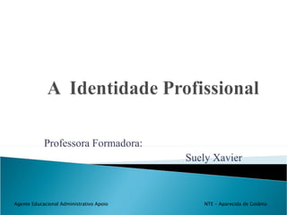 Professora Formadora: Suely Xavier Agente Educacional Administrativo Apoio  NTE – Aparecida de Goiânia 