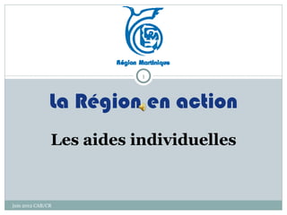 1



               La Région en action
               Les aides individuelles


juin 2012 CAB/CR
 