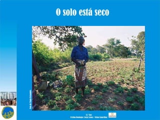 O solo está seco Foto de Tiago Fernandes 