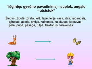 “ Išgirdęs gyvūno pavadinimą – suplok, augalo – atsistok” Žiedas, žibutė, žirafa, lėlė, lapė, lelija, rasa, rūta, raganosis, ąžuolas, ąsotis, arklys, kaštonas, kalakutas, kastuvas, pelė, pupa, pasaga, tulpė, traktorius, tarakonas 