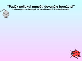 “ Padėk peliukui nunešti dovanėlę boružytei” Peliukas pas boružytes gali eiti tik raidelėmis P. Nuspalvink takelį. 
