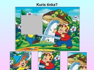 Kuris tinka? 
