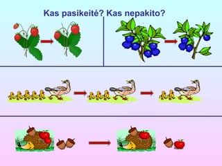 Kas pasikeitė? Kas nepakito? 