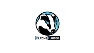 @swagentrotz 
Blazing Badger  