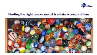 Finding the right cancer model is a data access problem
Photo by Marblesgalore.com
 