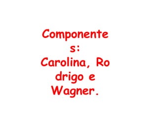 Componentes:Carolina, Rodrigo e Wagner.