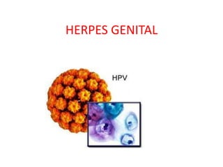 HERPES GENITAL
 