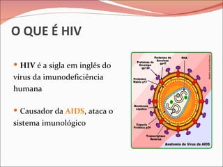 O QUE É HIV

 HIV é a sigla em inglês do
vírus da imunodeficiência
humana

 Causador da AIDS, ataca o
sistema imunológico
 