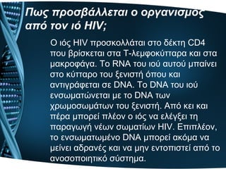 Πως προσβάλλεται ο οργανισμός
από τον ιό HIV;
Ο ιός HIV προσκολλάται στο δέκτη CD4
που βρίσκεται στα Τ-λεμφοκύτταρα και στα
μακροφάγα. Το RNA του ιού αυτού μπαίνει
στο κύτταρο του ξενιστή όπου και
αντιγράφεται σε DNA. Το DNA του ιού
ενσωματώνεται με το DNA των
χρωμοσωμάτων του ξενιστή. Από κει και
πέρα μπορεί πλέον ο ιός να ελέγξει τη
παραγωγή νέων σωματίων HIV. Επιπλέον,
το ενσωματωμένο DNA μπορεί ακόμα να
μείνει αδρανές και να μην εντοπιστεί από το
ανοσοποιητικό σύστημα.
 