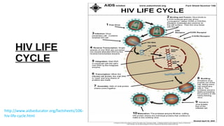 HIV LIFE
CYCLE
http://www.aidseducator.org/factsheets/106-
hiv-life-cycle.html
 