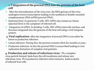  2. I ntegration of the proviral DNA into the genome of the host
cell
 After the internalization of the virus core, the RNA genome of the virus
undergoes reverse transcription leading to the synthesis of double-stranded
complementary DNA (cDNA/proviral DNA).
 Episomal form: In quiescent T cells, HIV cDNA may remain as a linear
episomal form in the cytoplasm of infected cell.
 Integration of cDNA: In dividing T cells, HIV cDNA enters the nucleus, and
becomes integrated into the genome of the host cell using a viral integrase
protein.
3. Viral replication: After the integration of proviral DNA it can either be
latent or productive infection.
 Latent infection: During this, the provirus remains silent for months or years.
 Productive infection: In this the proviral DNA is transcribed leading to viral
replication formation of complete viral particles.
4. Production and release of infectious virus: Th e complete
virus particle formed, buds from the cell membrane and release new
infectious virus. Th is productive infection when extensive, leads to death
of infected host cells.
 