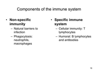 18
Components of the immune system
• Non-specific
immunity
– Natural barriers to
infection
– Phagocytosis:
neutrophils,
macrophages
• Specific immune
system
– Cellular immunity: T
lymphocytes
– Humoral: B lymphocytes
and antibodies
 