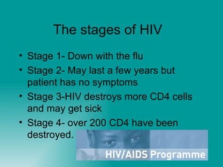 The stages of HIV  Stage 1- Down with the flu  Stage 2- May last a few years but patient has no symptoms Stage 3-HIV destroys more CD4 cells and may get sick Stage 4- over 200 CD4 have been destroyed.  