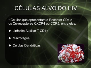 CÉLULAS ALVO DO HIV ▪  Células que apresentam o Receptor CD4 e  os Co-receptores CXCR4 ou CCR5, entre elas: ►  Linfócito Auxiliar T CD4+  ►  Macrófagos ►  Células Dendríticas  
