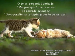 Treinamento de CIPA, atendendo a NR 5, Artigo 5.33, Alínea d. Local: Senac Itaguaí. Data: 12/12/2008. 