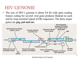 Acquired Immunodeficiency Syndrome - Vaibhav Kamboj.pptx