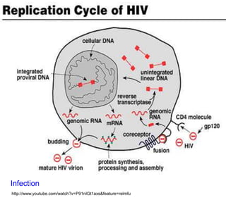 Infection
http://www.youtube.com/watch?v=P91nIGt1axs&feature=relmfu
 