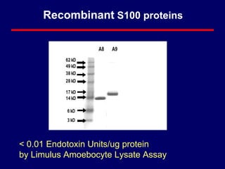 Recombinant  S100 proteins < 0.01 Endotoxin Units/ug protein by Limulus Amoebocyte Lysate Assay 