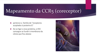 Mapeamento da CCR5 (coreceptor)
 pertence a família de "receptores
acoplados à proteína G"
 Ao se ligar a essa proteína, o HIV
consegue se fundir à membrana da
célula que fica abaixo
 
