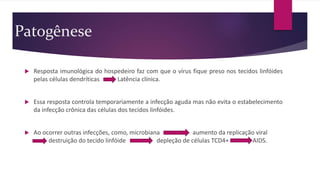 Patogênese
 Resposta imunológica do hospedeiro faz com que o vírus fique preso nos tecidos linfóides
pelas células dendríticas Latência clínica.
 Essa resposta controla temporariamente a infecção aguda mas não evita o estabelecimento
da infecção crônica das células dos tecidos linfóides.
 Ao ocorrer outras infecções, como, microbiana aumento da replicação viral
destruição do tecido linfóide depleção de células TCD4+ AIDS.
 