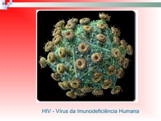 HIV - Vírus da Imunodeficiência Humana
 