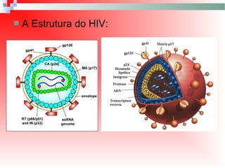  A Estrutura do HIV:
 