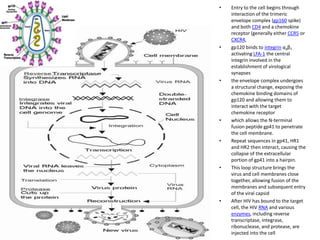 •   Entry to the cell begins through
    interaction of the trimeric
    envelope complex (gp160 spike)
    and both CD4 and a chemokine
    receptor (generally either CCR5 or
    CXCR4,
•   gp120 binds to integrin α4β7
    activating LFA-1 the central
    integrin involved in the
    establishment of virological
    synapses
•   the envelope complex undergoes
    a structural change, exposing the
    chemokine binding domains of
    gp120 and allowing them to
    interact with the target
    chemokine receptor
•   which allows the N-terminal
    fusion peptide gp41 to penetrate
    the cell membrane.
•   Repeat sequences in gp41, HR1
    and HR2 then interact, causing the
    collapse of the extracellular
    portion of gp41 into a hairpin.
•   This loop structure brings the
    virus and cell membranes close
    together, allowing fusion of the
    membranes and subsequent entry
    of the viral capsid
•   After HIV has bound to the target
    cell, the HIV RNA and various
    enzymes, including reverse
    transcriptase, integrase,
    ribonuclease, and protease, are
    injected into the cell
 
