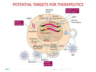 POTENTIAL TARGETS FOR THERAPEUTICS
 