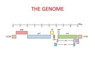 THE GENOME
 