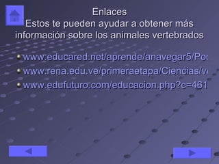 Enlaces
   Estos te pueden ayudar a obtener más
información sobre los animales vertebrados

 www.educared.net/aprende/anavegar5/Podiu
 www.rena.edu.ve/primeraetapa/Ciencias/verte
 www.edufuturo.com/educacion.php?c=461
 