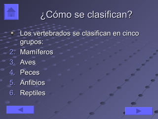 ¿Cómo se clasifican?
     Los vertebrados se clasifican en cinco
     grupos:
2.   Mamíferos
3.   Aves
4.   Peces
5.   Anfibios
6.   Reptiles
 