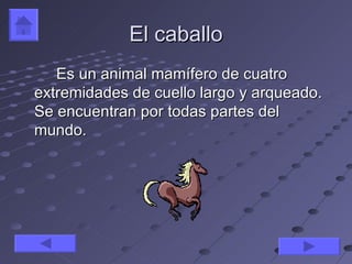 El caballo
   Es un animal mamífero de cuatro
extremidades de cuello largo y arqueado.
Se encuentran por todas partes del
mundo.
 