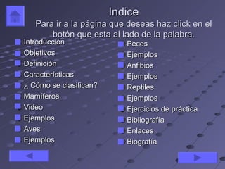 Indice
   Para ir a la página que deseas haz click en el
       botón que esta al lado de la palabra.
Introducción               Peces
Objetivos                  Ejemplos
Definición                 Anfibios
Características            Ejemplos
¿ Cómo se clasifican?      Reptiles
Mamíferos                  Ejemplos
Video                      Ejercicios de práctica
Ejemplos                   Bibliografía
Aves                       Enlaces
Ejemplos                   Biografía
 