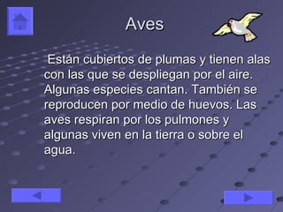 Aves
 Están cubiertos de plumas y tienen alas
con las que se despliegan por el aire.
Algunas especies cantan. También se
reproducen por medio de huevos. Las
aves respiran por los pulmones y
algunas viven en la tierra o sobre el
agua.
 