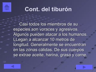 Cont. del tiburón

   Casi todos los miembros de su
especies son voraces y agresivos.
Algunos pueden atacar a los humanos.
LLegan a alcanzar 10 metros de
longitud. Generalmente se encuentran
en las zonas cálidas. De sus cuerpos
se extrae aceite, harina, grasa y carne.
 