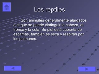 Los reptiles
     Son animales generalmente alargados
e el que se puede distinguir la cabeza, el
tronco y la cola. Su piel está cubierta de
escamas, también es seca y respiran por
los pulmones.
 