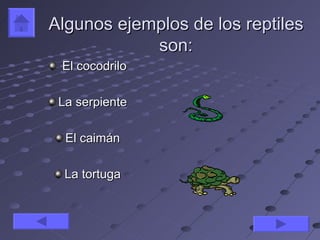 Algunos ejemplos de los reptiles
            son:
 El cocodrilo

 La serpiente

  El caimán

  La tortuga
 