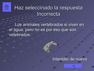 Haz seleccinado la respuesta
           Incorrecta
    Los animales vertebrados si viven en
el agua, pero no es por eso que son
vetebrados.




                       Intentálo de nuevo
 
