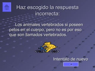 Haz escogido la respuesta
          incorrecta:

   Los animales vertebrados si poseen
pelos en el cuerpo, pero no es por eso
que son llamados vertebrados.




                      Intentálo de nuevo
 