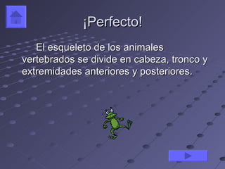 ¡Perfecto!
   El esqueleto de los animales
vertebrados se divide en cabeza, tronco y
extremidades anteriores y posteriores.
 